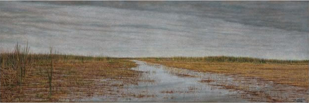 Everglades