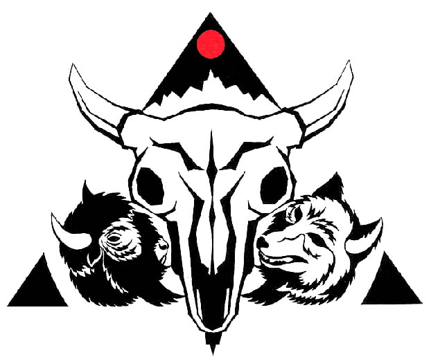 Coyote and Buffalo